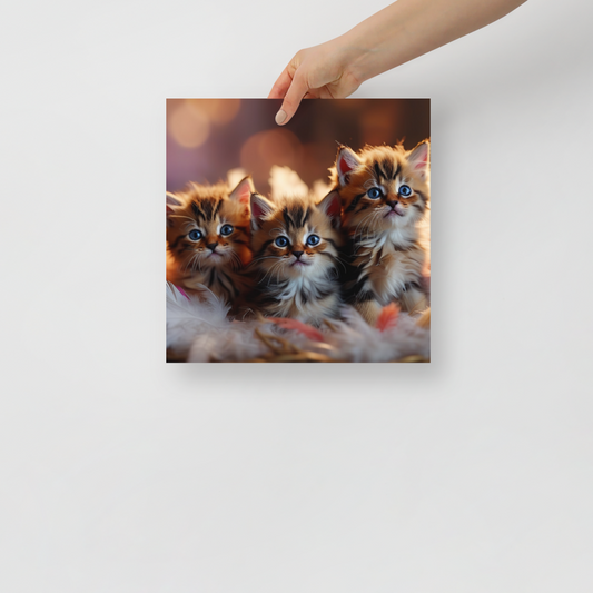 Curious Kittens Poster